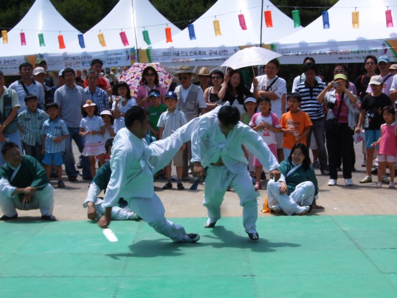 Taekkyeon related cultural heritage image